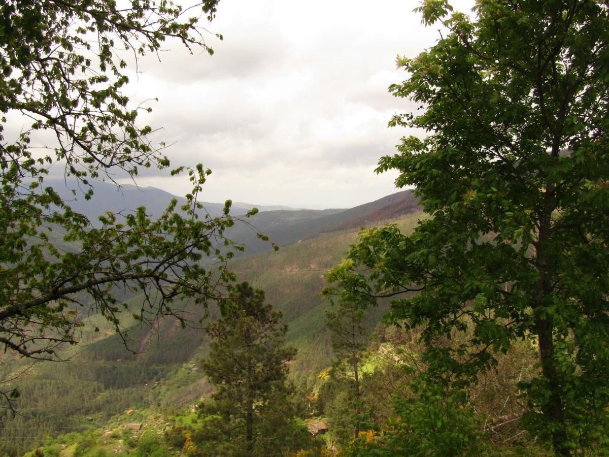 Casa Encantada - Alvoco Da Serra Villa Eksteriør billede